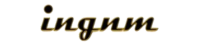 ingnm.com.mx